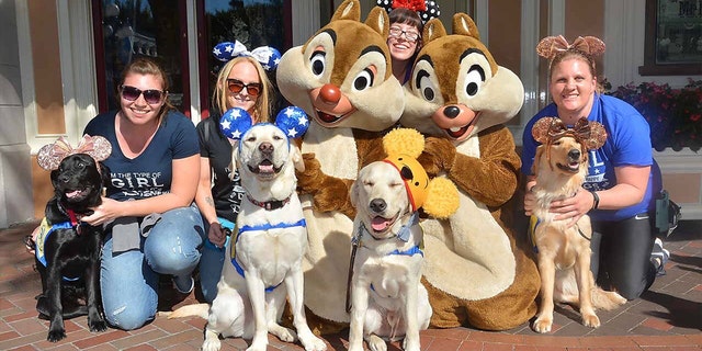 The organization breeds, raises and trains highly-skilled assistance dogs, placing them free of charge to children, adults and veterans with disabilities.