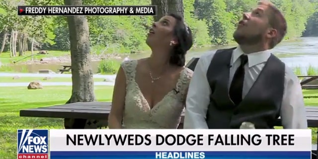 The pair narrowly escaped being hit with a massive falling tree branch.