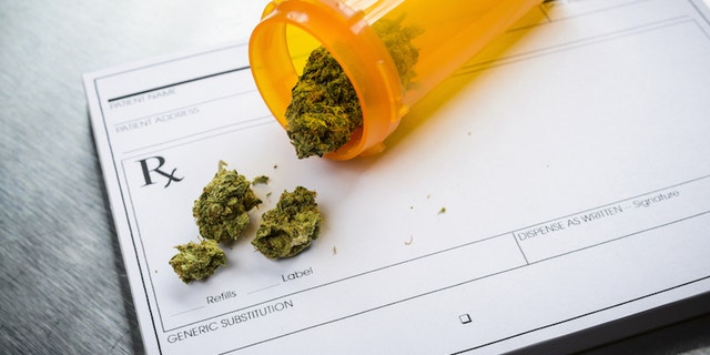 More research is needed to see whether these findings would apply to people