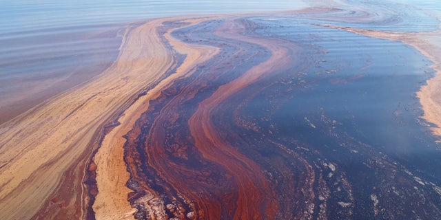 Researchers are studying the impact of the oil spill on microbes in Gulf waters and sediments.