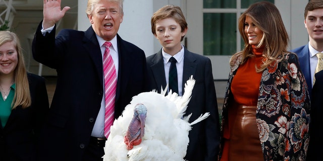 Drumstick the turkey is pardoned by President Donald Trump, left, during an annual presidential tradition attended by his son Barron Trump, and first lady Melania Trump, Tuesday, Nov. 21, 2017, in the Rose Garden of the White House in Washington. (AP Photo/Jacquelyn Martin)