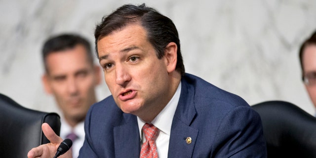Sen. Ted Cruz, R-Texas, on Capitol Hill in Washington, D.C., July 24, 2013.