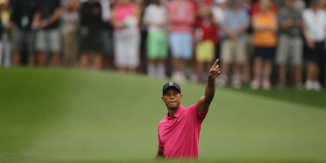 Tiger Woods points to his shot on the eighth fairway during a practice round for the Masters golf tournament Tuesday, April 7, 2015, in Augusta, Ga. (AP Photo/Matt Slocum)