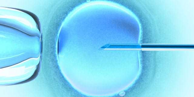 5f0d3795-ivf istock large