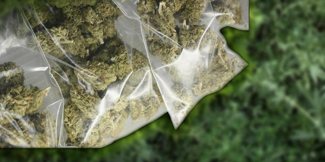Palestinian Policemen load Marijuana plants into a truck in the west Bank town of Nablus Tuesday, March 27, 2007. Palestinian police uncovered a large amount of Marijuana growing in a Nablus apartment on Tuesday. Police used two trucks to haul the weed away. (AP Photo/Nasser Ishtayeh)