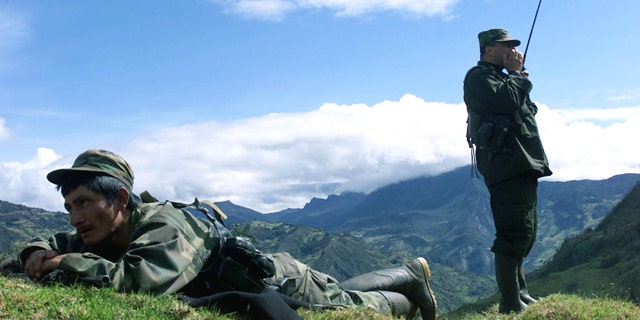 FARC fighters