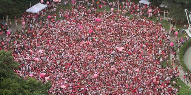 This handout photo made available by 'Pink Dot' on June 18, 2011 shows activists gathered at Hong Lim park in Singapore