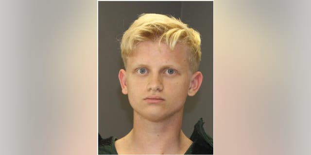 Andrew David Willson, 19, was charged in the death of his mother on Monday.