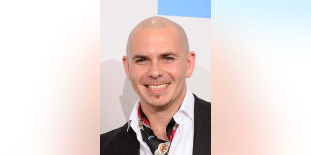 LOS ANGELES, CA - NOVEMBER 21: Singer Pitbull poses in the press room during the 2010 American Music Awards held at Nokia Theatre L.A. Live on November 21, 2010 in Los Angeles, California. (Photo by Jason Merritt/Getty Images for DCP)