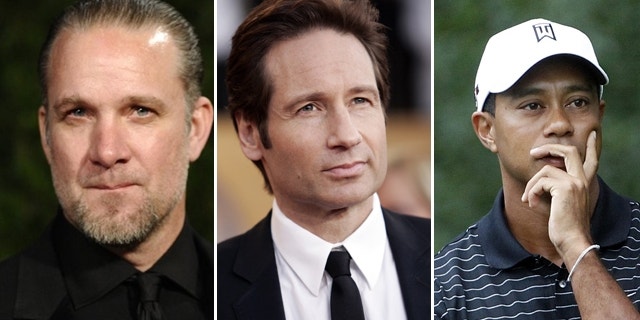 Jesse James, David Duchovny and Tiger Woods have all admitted they have sex addictions.