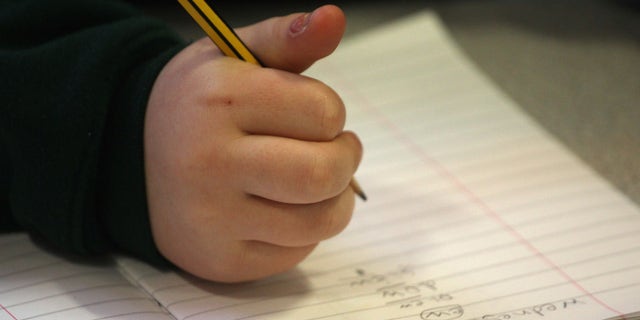 CHIPPENHAM, UNITED KINGDOM - FEBRUARY 23: A primary school pupil at the Bridge Learning Campus completes his school work in a classroom at the school on February 24, 2010 in Bristol, England. The 40million GBP campus in Hartcliffe, Bristol, was constructed as part of the Government's Building Schools for the Future programme and opened in January 2009. It now offers over 800 pupils a life long provision of learning from nursery, reception and primary to secondary and post-16 education. As the UK gears up for one of the most hotly contested general elections in recent history it is expected that that the economy, immigration, the NHS and education are likely to form the basis of many of the debates. (Photo by Matt Cardy/Getty Images)