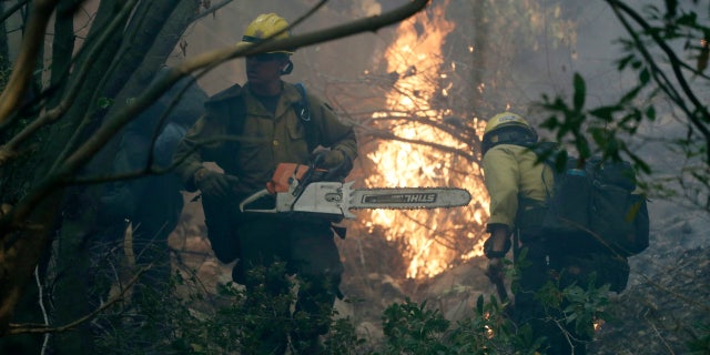 Firefighters from Kern County, Calif., work to put out hot spots during a wildfire Saturday, Dec. 16, 2017, in Montecito, Calif.