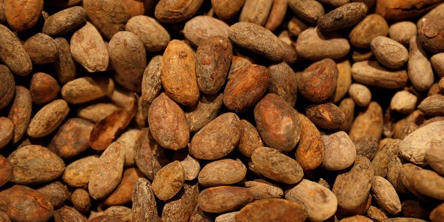 Warmer temperatures across the globe could lead to fewer and fewer regions where cocoa beans can be produced.