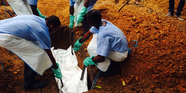 Volunteers lower a corpse, which is prepared with safe burial practices to ensure it does not pose a health risk to others and stop the chain of person-to-person transmission of Ebola, into a grave in Kailahun July 18, 2014. REUTERS/WHO/Tarik Jasarevic/Handout via Reuters