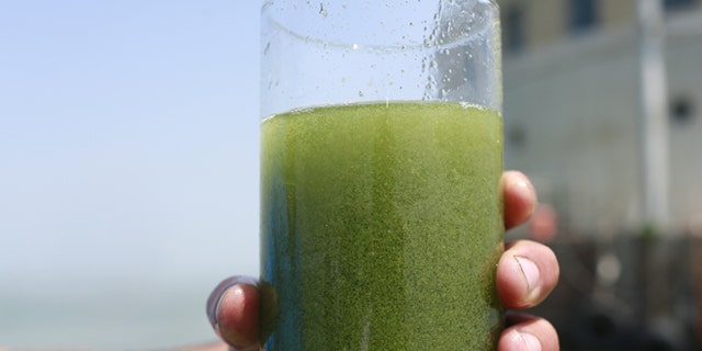 A sample glass of Lake Erie water is photographed near the City of Toledo water intake crib, Sunday, Aug. 3, 2014, in Lake Erie, about 2.5 miles off the shore of Curtice, Ohio. More tests are needed to ensure that toxins are out of Toledo's water supply, the mayor said Sunday, instructing the 400,000 people in the region to avoid drinking tap water for a second day. Toledo officials issued the warning early Saturday after tests at one treatment plant showed two sample readings for microsystin above the standard for consumption, possibly because of algae on Lake Erie. (AP Photo/Haraz N. Ghanbari)