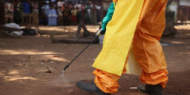 A member of the French Red Cross disinfects the area around a motionless person suspected of carrying the Ebola virus as a crowd gathers in Forecariah January 30, 2015. Health officials botched more than 20 Ebola blood tests in January and February which led to the release of at least four positive patients, two of whom later died, Guinea's anti-Ebola coordinator and other health officials told Reuters.