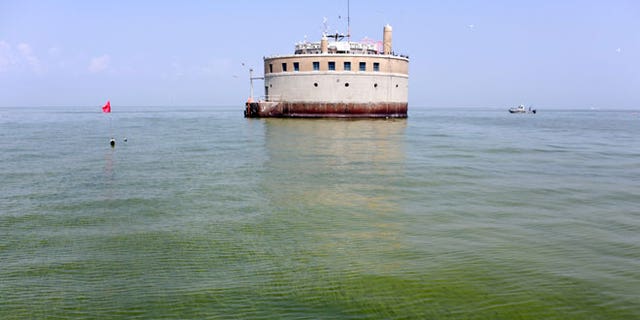 In this Aug. 3, 2014, file photo, the City of Toledo water intake crib is surrounded by algae in Lake Erie, about 2.5 miles off the shore of Curtice, Ohio. Toledo has detected the first signs in Lake Erie of the dangerous toxin that resulted in a water crisis last year that left 400,000 people in northwestern Ohio and southeastern Michigan without safe tap water for two days announced Monday, July 27, 2015.