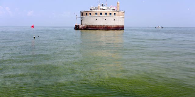 In this Aug. 3, 2014, file photo, the City of Toledo water intake crib is surrounded by algae in Lake Erie, about 2.5 miles off the shore of Curtice, Ohio. Toledo has detected the first signs in Lake Erie of the dangerous toxin that resulted in a water crisis last year that left 400,000 people in northwestern Ohio and southeastern Michigan without safe tap water for two days announced Monday, July 27, 2015.