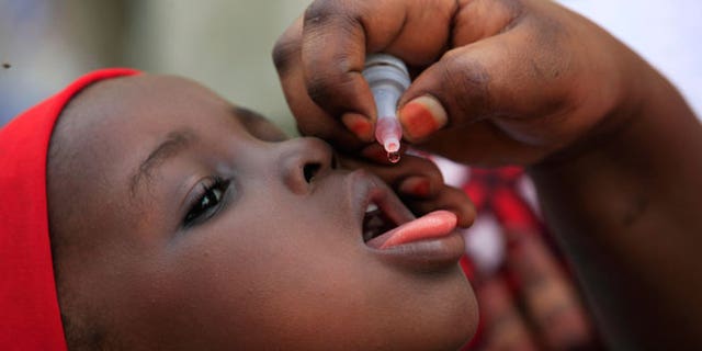 In this Sunday, April 13, 2014 file photo, a health official administers a polio vaccine to a child in Kawo Kano, Nigeria Polio is no longer endemic in Nigeria, the World Health Organization said late Friday, Sept. 25, 2015 leaving only Pakistan and its war-battered neighbor Afghanistan in the list of countries where the disease is prevalent.