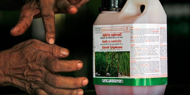 In this July 24, 2014, photo, a Sri Lankan agrochemical vendor gives instructions on how to use Glyphosate, the country's most popular weed killer, at a chemical sales point in Padaviya, Sri Lanka. A chronic kidney disease that has already killed up to 20,000 people over the past two decades and affects anywhere from 70,000 to 400,000 more in the country's North Central rice basket, remains an enigma without a name. Many in Sri Lanka, including the World Health Organization, have pointed to heavy use and misuse of agrochemicals as a possible culprit in a country that's among the world's top fertilizer users.