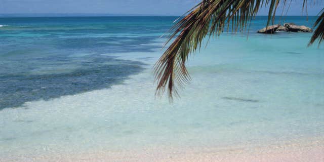 Tropical beach View of the crystalline sea from a tropical beach (Photo by Angel Bocalandro/Cover/Getty Images)