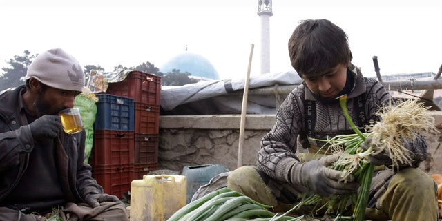 An Afghan vendor, right, sorts out vegetables as his father drinks tea during sorting of vegetable in Kabul, Afghanistan on Wednesday, Feb. 13, 2013. (AP Photo/Musadeq Sadeq)