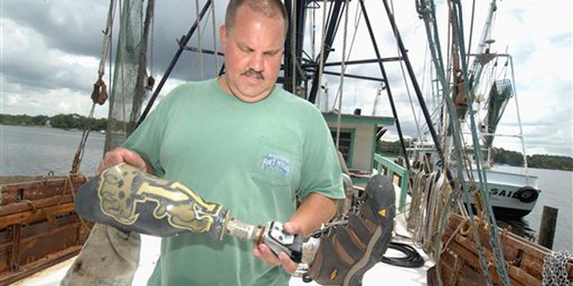 June 7, 2012: Matt Willingham, owner of the shrimp boat Michele Dawn, looks for identifying features on a prosthetic leg at his dock in Valapraiso, Fla.