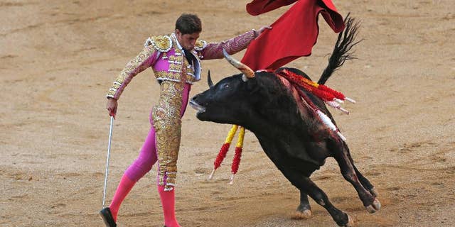FILE - In a Sunday, Oct. 9, 2016 file photo, Spanish bullfighter Mario Palacios performs with an Aguadulce ranch fighting bull during a bullfight at the Las Ventas bullring in Madrid, Spain. Spain's top court on Thursday, Oct. 20, 2016 overruled a local ban against bullfighting in the powerful northeastern region of Catalonia, saying it violated a national law protecting the spectacle. (AP Photo/Francisco Seco, File)