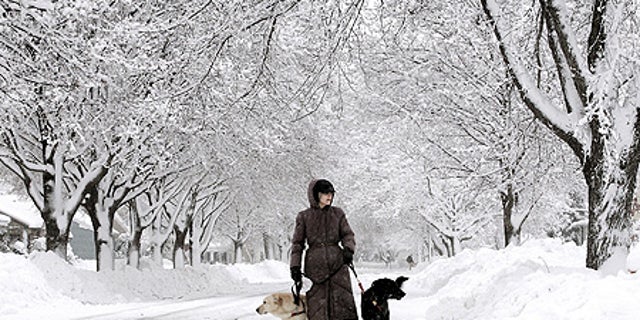 Dec. 9: Karalee Briggs walks her dogs through the streets of Janesville, Wis., after a storm dropped more than a foot of snow on the city.