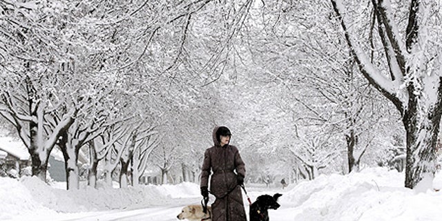 Dec. 9: Karalee Briggs walks her dogs through the streets of Janesville, Wis., after a storm dropped more than a foot of snow on the city.