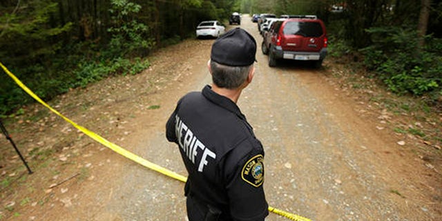 Mason County Sheriff's Chief Criminal Deputy Russ Osterhout looks down a road near the scene of a fatal shooting Friday, Feb. 26, 2016, near Belfair, Wash. (AP Photo/Ted S. Warren)