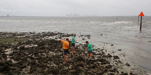 A man and his sons walk on the sea floor after water receded from Hillsborough Bay ahead of the arrival of Hurricane Irma in Tampa, Florida, U.S., September 10, 2017. REUTERS/Chris Wattie - RC1CB859A7F0