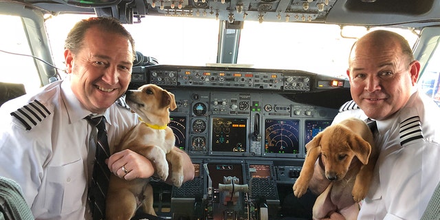 “You cannot forget the dogs. When you forget the dogs, you forget what a good life means."