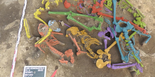 The excavation of the mass grave of Halberstadt revealed the remains of nine bodies, shown here in different colors. Credit: Copyright LDA Sachsen-Anhalt/Christian Meyer
