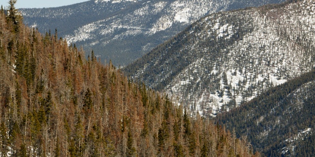 Ten counties in Colorado started floating the idea of becoming their own state -- "North Colorado" -- in July 2013
