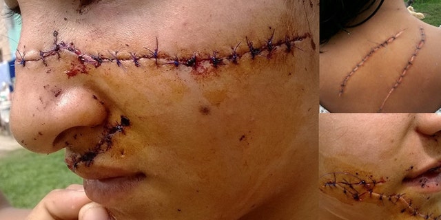 Photos of Julia Alvarez posted and shared on her sister's Facebook page.