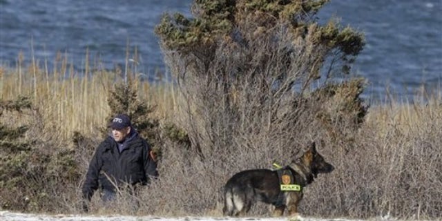 Police search in the brush by the side of the road on Cedar Beach, near Babylon, N.Y. , on Dec. 14, 2010 (AP).