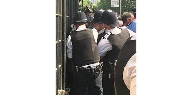 An anti-Trump protester is arrested in London.