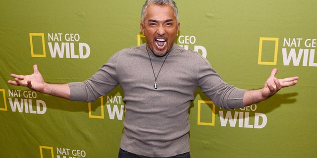 Cesar Millan in a January 2013 file photo.