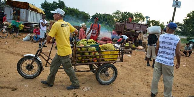 A fruits and vegetables retailer leaves a wholesale market in Havana, on August 6, 2013.