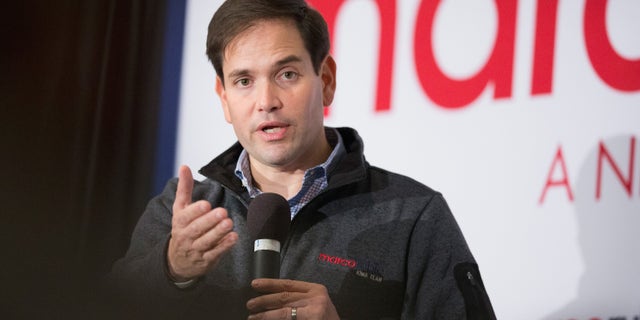 CEDAR RAPIDS, IA - NOVEMBER 21: Republican presidential candidate Sen. Marco Rubio (R-FL) speaks to guests during a town hall meeting on November 21, 2015 in Cedar Rapids, Iowa. (Photo by Scott Olson/Getty Images)
