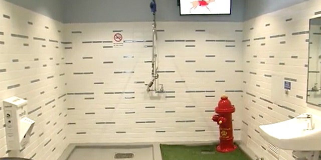 The Atlanta airport revealed it cost $3.9 million to install seven dog bathrooms inside the terminal.