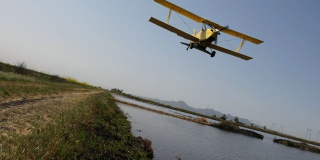 BIGGS, CA - APRIL 25: A bi-plane from Williams Ag Service drops rice seeds on a field April 25, 2008 in Biggs, California. California rice growers are in the midst of planting nearly 549,000 acres of rice throughout the Sacramento Valley as rice consumers around the world face rice shortages and higher prices. (Photo by Justin Sullivan/Getty Images)