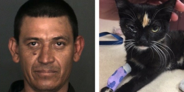 Lucio Lopez, 34, was arrested after allegedly throwing a kitten in a freezer and then off a balcony, police said.