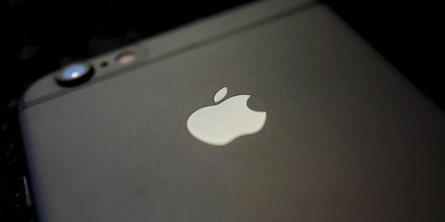 Details are pictured on the back of an Apple Iphone 6 on a table in a restaurant in Hanau, Germany, April 10, 2016.
