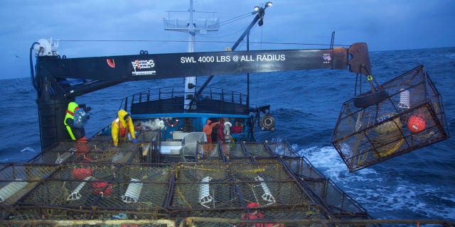 Deadliest Catch Recap Wrecked On The Ship Fox News