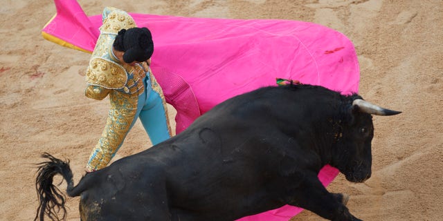 Mexican novillero bullfighter Sergio Flores performs with a bull during a bullfight on the eve of the 2011 San Fermin festival in Pamplona, on Tuesday, July 5, 2011 in Pamplona, Spain.