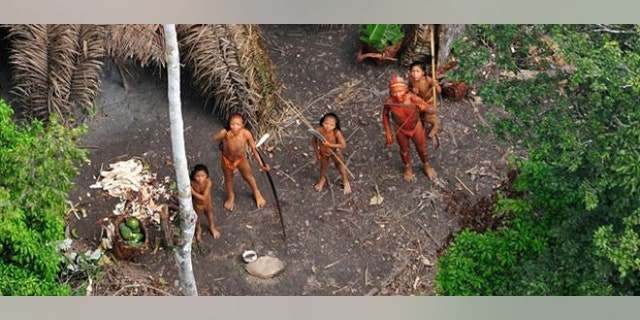 Members of an uncontacted tribe painted with red and black vegetable dye watch a Brazilian government plane overhead.