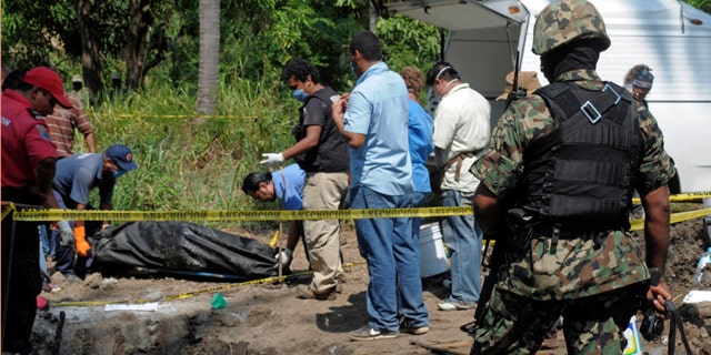 87507de8-Mexico Drug War