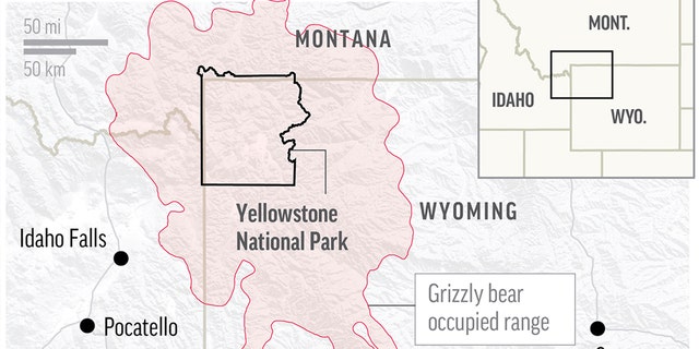Map shows grizzly bear occupied range across Yellowstone National Park.